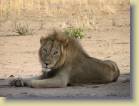 kenia-etc-0016