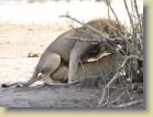 kenia-etc-0017