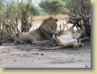 kenia-etc-0018