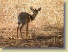 kenia-etc-0019
