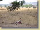 kenia-etc-0020