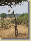 kenia-etc-0021