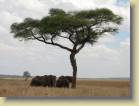 kenia-etc-0022