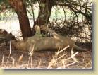kenia-etc-0025