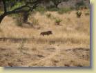 kenia-etc-0026