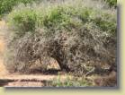 kenia-etc-0027