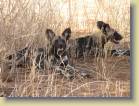 kenia-etc-0028