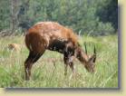 kenia-etc-0036
