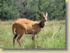 kenia-etc-0037