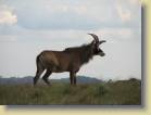 kenia-etc-0038