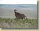 kenia-etc-0039