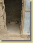 mali-burkina_faso-0045