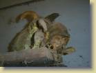 mali-burkina_faso-0229