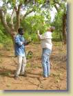 mali-burkina_faso-0242