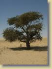 mauritanie-0009