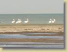 mauritanie-0023
