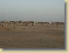 mauritanie-0033