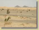 mauritanie-0039