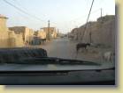 mauritanie-0042