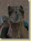 mauritanie-0059