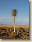 namibie-0024