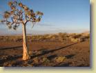 namibie-0025