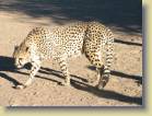 namibie-0033