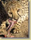 namibie-0034