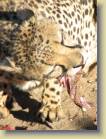 namibie-0035