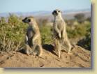 namibie-0040