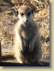 namibie-0041