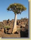 namibie-0045