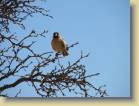 namibie-0051