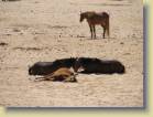 namibie-0052
