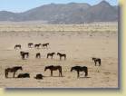 namibie-0053