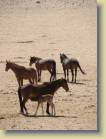 namibie-0055