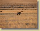 namibie-0076