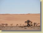 namibie-0081