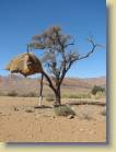 namibie-0082