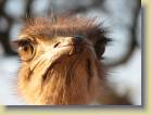 namibie-0089