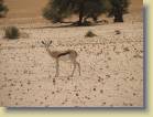namibie-0122