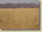 namibie-0123