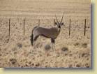 namibie-0128