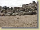 namibie-0139