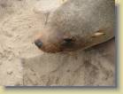 namibie-0140