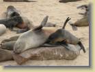 namibie-0142