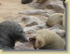 namibie-0143