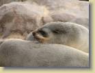 namibie-0144
