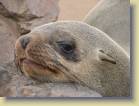 namibie-0148