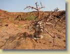 namibie-0159